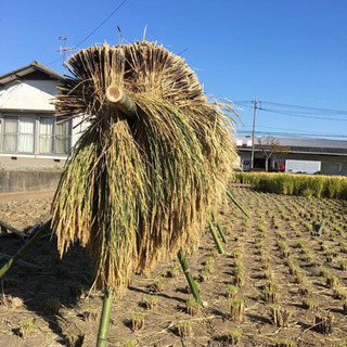 第4回　自家製お味噌を作ってみませんか？