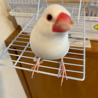 ゆる〜くお友達になってくださぁーい♡