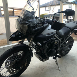 トライアンフ　タイガー800
