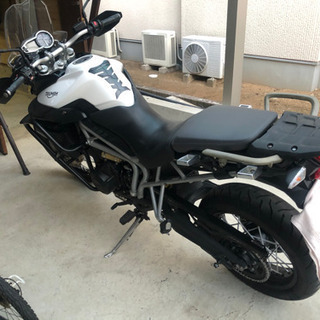 トライアンフ　タイガー800の画像