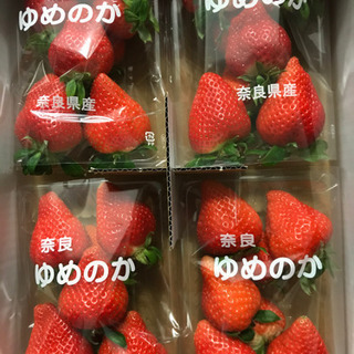 ◆完全売切！奈良県産いちご「ゆめのか」4L特大サイズ1ケース4パック◆