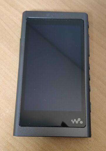 ウォークマン walkman nw-a55hn