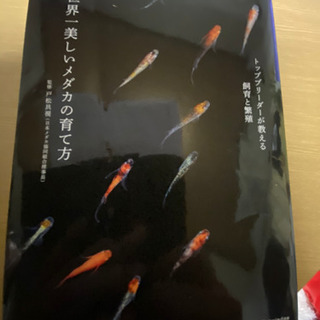 メダカの飼育本（世界一美しいメダカの育て方）の画像