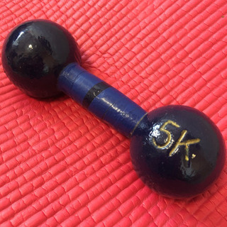 鉄アレイ　5kg