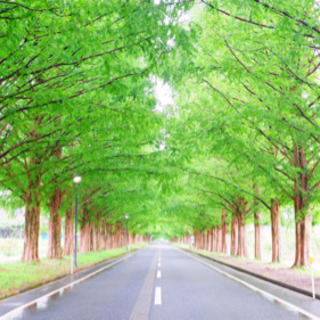 大人の修学旅行サークル - 豊島区