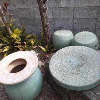 植物、写真に写ってるもの全て差し上げます！の画像