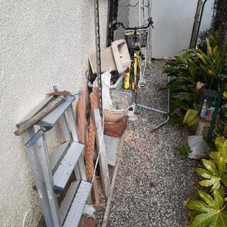 植物、写真に写ってるもの全て差し上げます！の画像