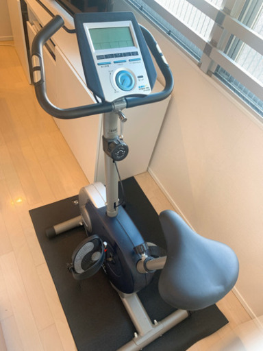 【ALINCO】２／28まで★お値下げ応じます★エアロバイク(マット付き)