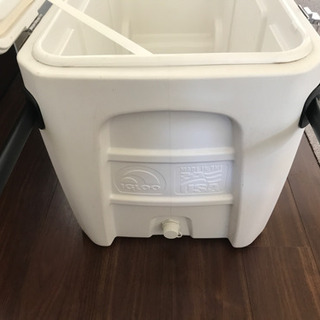 Igloo 大型クーラーボックス　の画像