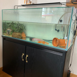 水槽セット