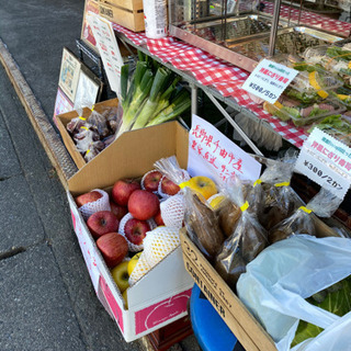 【お弁当販売、展示販売出店者大募集】鎌倉カフェ店頭 - 鎌倉市
