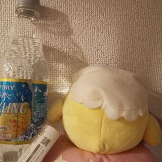 2.キイロイトリ(夜更かしシリーズ)1000▶500円に値下げで差し上げますの画像