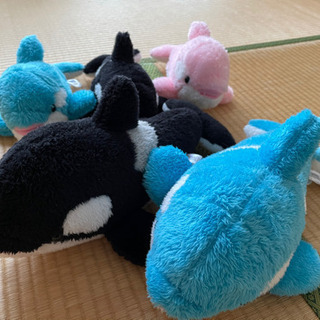 【お譲り先決定】鴨川シーワールドのシャチ5点セット