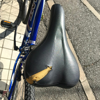 ジャイアント ロック4500 とても綺麗です