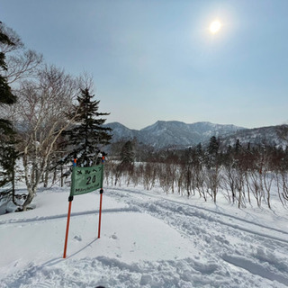 スキー、スノーボード教えます！《札幌国際》