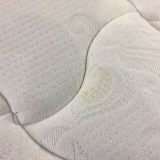 【愛品館市原店】 シーリー（Sealy） シングルベッド  【管理IGB017104105】の画像