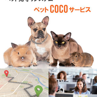 当社の広報（ホームページ制作、SNS）出来る方の画像