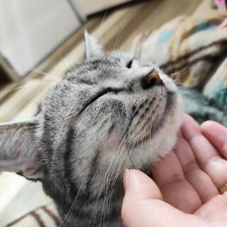 女友達募集中です\( •̀ω•́ )/