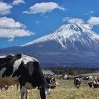 農家で正社員❗️🐮🐷✨✨【アグリ部門スタッフ】農業×ITで成長中👐↑✨✨土日休み🌼の画像