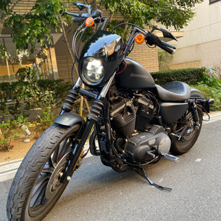 早い者勝ち‼️ハーレーダビットソンXL883N アイアン09 美車‼️