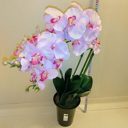 造花「胡蝶蘭？（高さ約70cm）」アートフラワー、フェイクフラワー【中古】