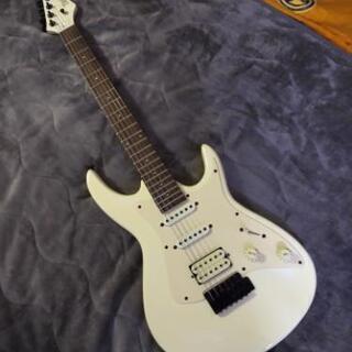 ★入門用に★中古 Aria（アリア）BLACK DOG 美品★