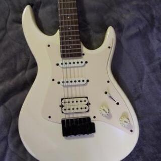 ★入門用に★中古 Aria（アリア）BLACK DOG 美品★の画像