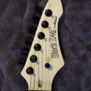 ★入門用に★中古 Aria（アリア）BLACK DOG 美品★の画像