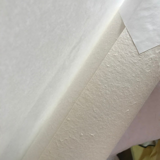 高知麻紙F100の画像