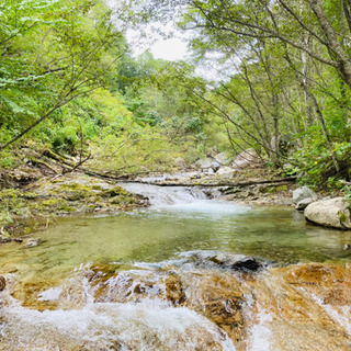 キャンプ（登山、渓流釣り、焚火、温泉、のんびり） - 千葉市