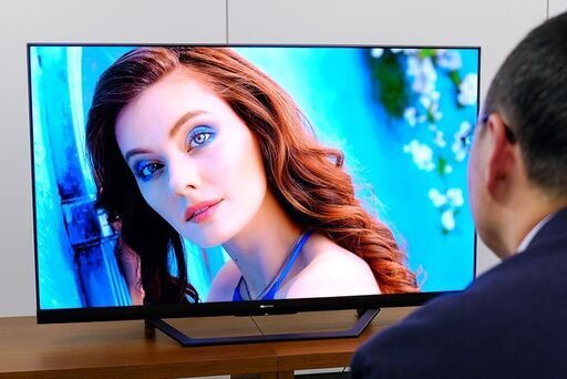 Hisense ハイセンス 65U7F 65V型 地上・BS・CSデジタル 4K チューナー 内蔵 液晶テレビ