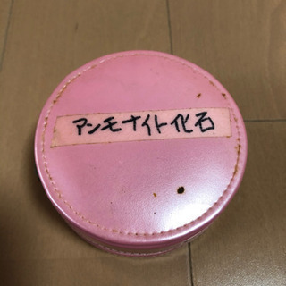 アンモナイトの化石