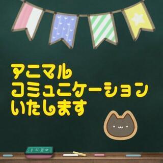 ペットさんの気持ちお伝えします🤗
