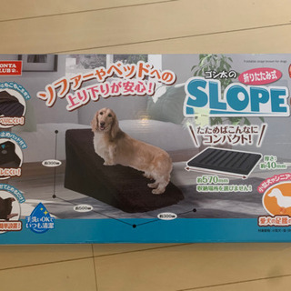 犬用スロープの画像