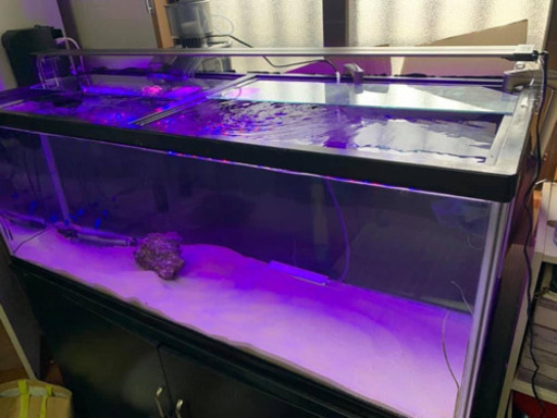 120水槽　水槽台　海水魚用セット
