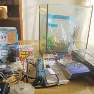 水槽セット　ポンプやライト、砂なども　これだけでOKと思います