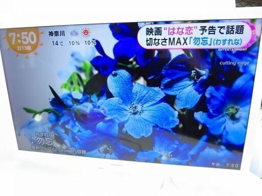 美品。2018年製 SHARP シャープ AQUOS アクオス 液晶カラーテレビ LC-24P5 ホワイト