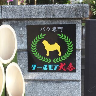 ペット用品格安販売！　パグ専門クールモア犬舎（クールモアホテル） - 大分市