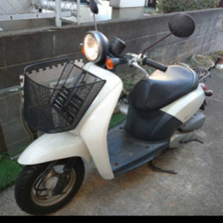 ホンダ　トゥデイ　today  原付　実働車