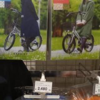 僕にギターを教えてくれませんか？