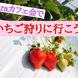 2月21日(日)11時から＠古賀☆laraカフェ会でいちご狩りに...