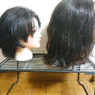練習用ウィッグ①の画像