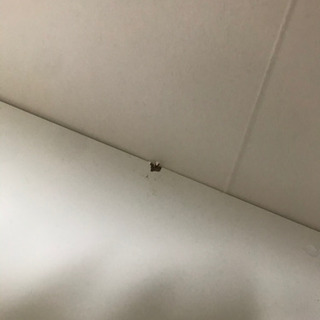 IKEA 棚　訳ありですの画像