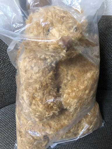 ショコラテディベア  ハグクッション