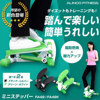 ステッパーの画像