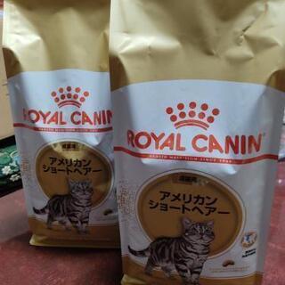格安！ロイヤルカナン　キャットフード2Kg×2袋【新品】