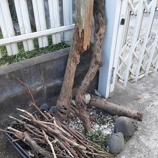 枯れ木、古材木、差し上げます。薪ストーブ、キャンプにいかが？の画像