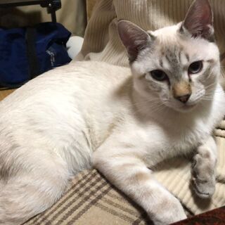 トライアルが決まりましたので、一旦受付を終了させていただきます【...