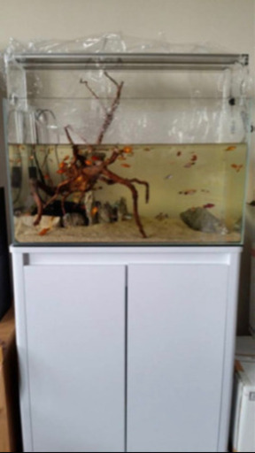 60センチ水槽とライト