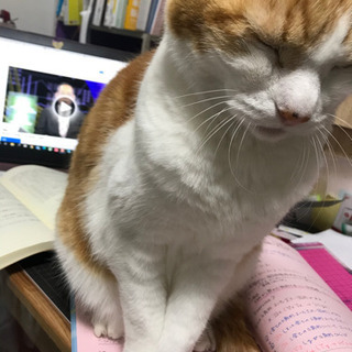 【家庭教師】募集再開致しましたの画像